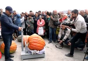 У Кропивницькому богатирі штовхали сівалки й трактори